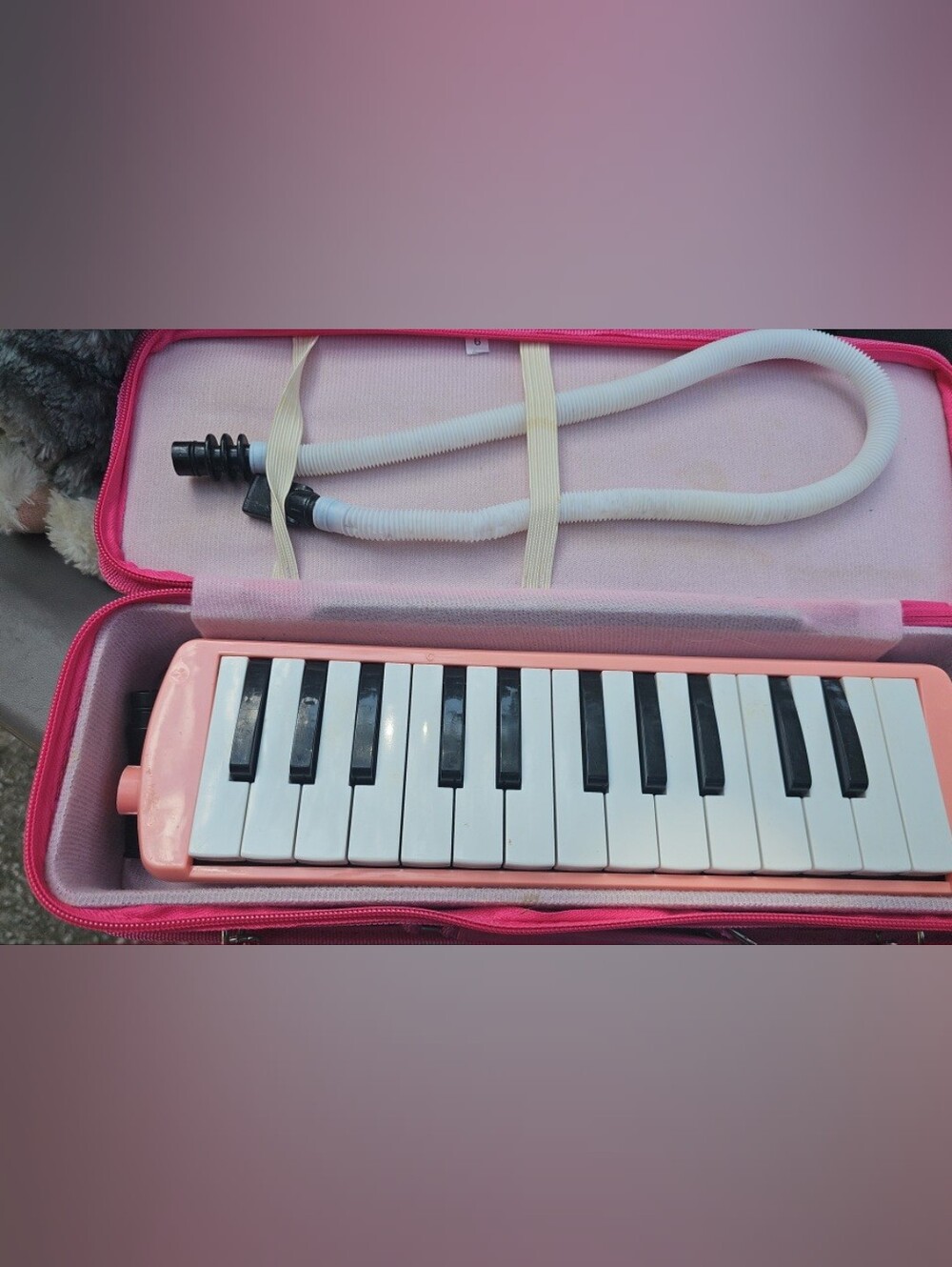 Pink 32-Key Melodica with Case and Hose